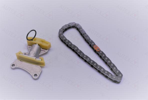 Autex 711310 - Timing Chain Kit autospares.lv