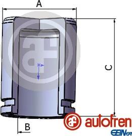 AUTOFREN SEINSA D025264 - Piston, brake caliper autospares.lv