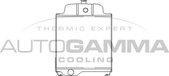 Autogamma 402582 - Radiator, engine cooling autospares.lv