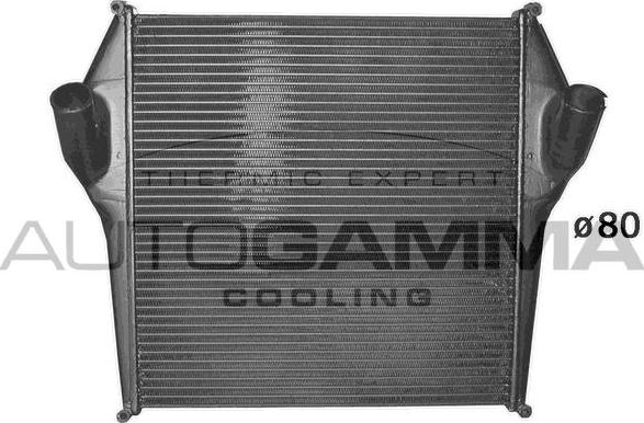 Autogamma 402066 - Intercooler, charger autospares.lv