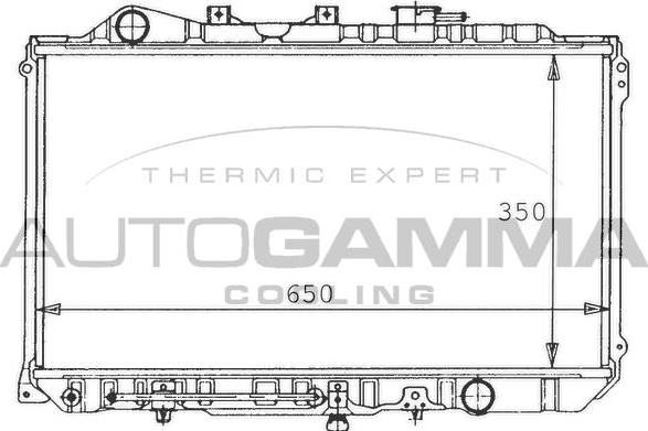 Autogamma 100496 - Radiator, engine cooling autospares.lv