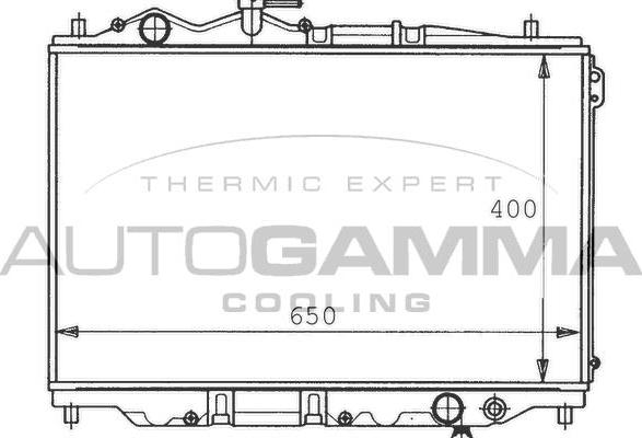 Autogamma 100498 - Radiator, engine cooling autospares.lv