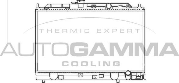 Autogamma 100419 - Radiator, engine cooling autospares.lv