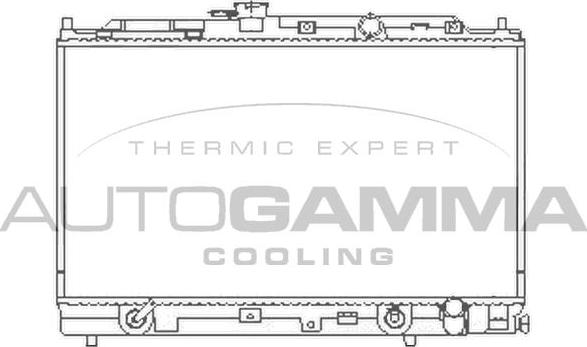 Autogamma 100415 - Radiator, engine cooling autospares.lv