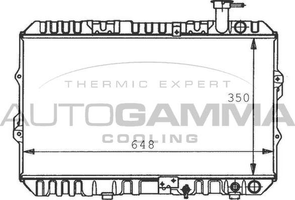 Autogamma 100418 - Radiator, engine cooling autospares.lv