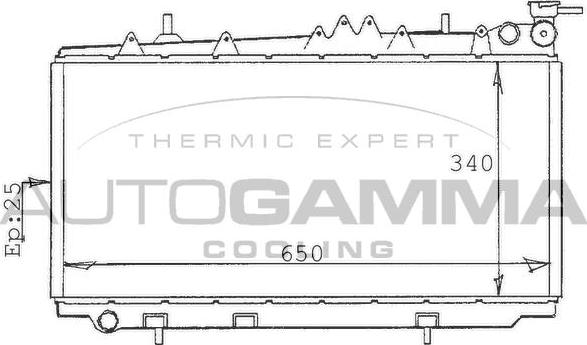 Autogamma 100629 - Radiator, engine cooling autospares.lv