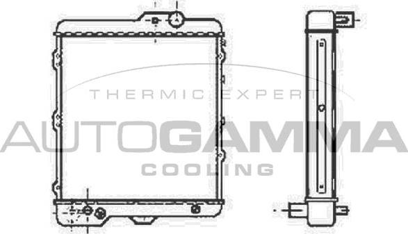Autogamma 100042 - Radiator, engine cooling autospares.lv