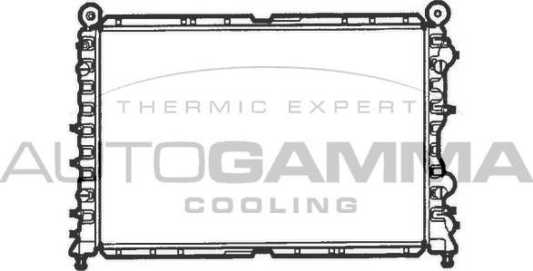 Autogamma 100010 - Radiator, engine cooling autospares.lv
