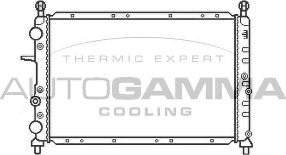 Autogamma 100013 - Radiator, engine cooling autospares.lv