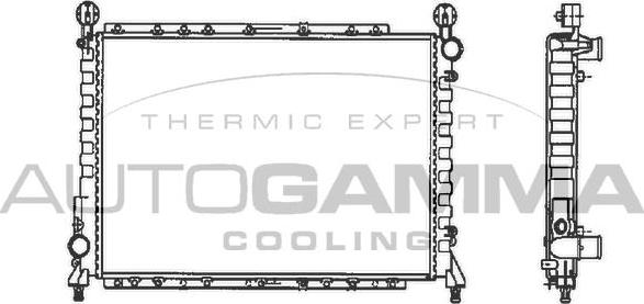 Autogamma 100012 - Radiator, engine cooling autospares.lv
