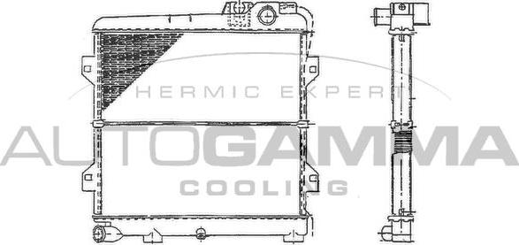 Autogamma 100115 - Radiator, engine cooling autospares.lv