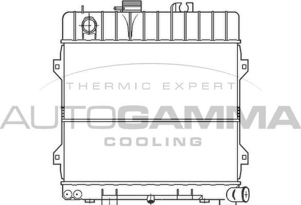 Autogamma 100113 - Radiator, engine cooling autospares.lv