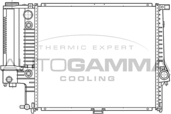 Autogamma 100126 - Radiator, engine cooling autospares.lv