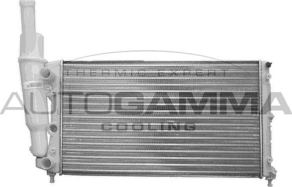 Autogamma 100294 - Radiator, engine cooling autospares.lv