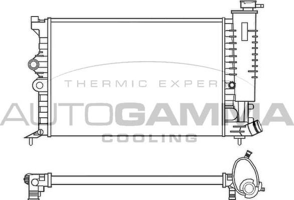 Autogamma 100203 - Radiator, engine cooling autospares.lv