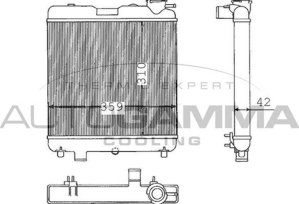 Autogamma 100289 - Radiator, engine cooling autospares.lv