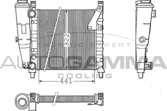 Autogamma 100284 - Radiator, engine cooling autospares.lv