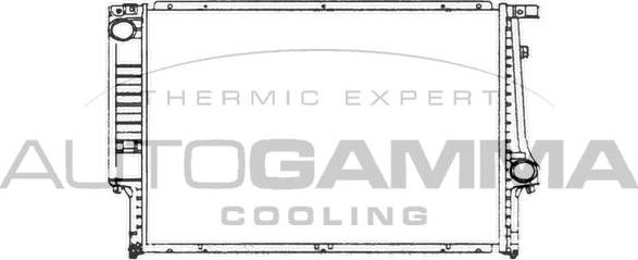 Autogamma 101982 - Radiator, engine cooling autospares.lv