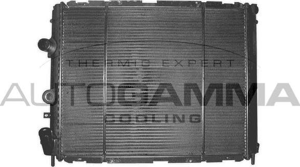 Autogamma 101417 - Radiator, engine cooling autospares.lv