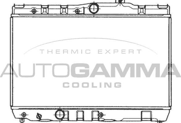 Autogamma 101002 - Radiator, engine cooling autospares.lv