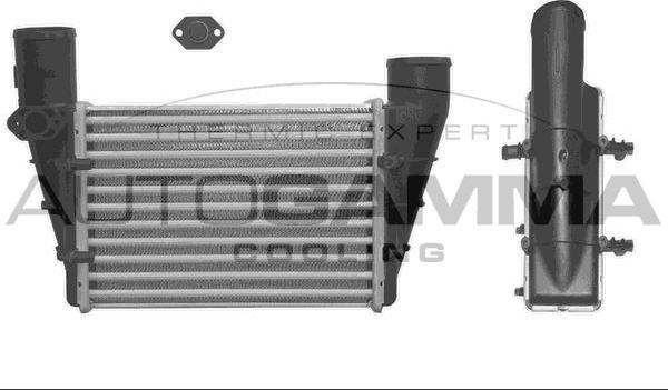 Autogamma 101858 - Intercooler, charger autospares.lv