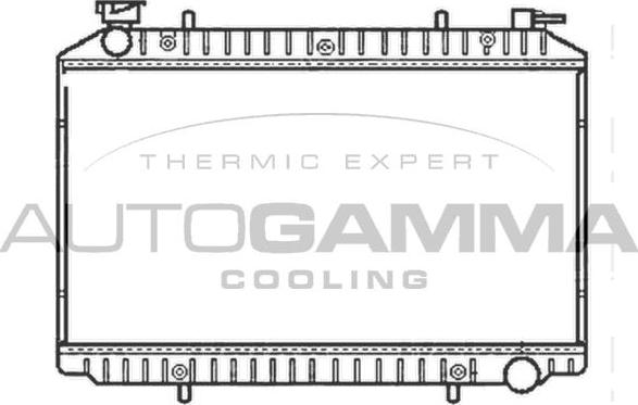Autogamma 101222 - Radiator, engine cooling autospares.lv