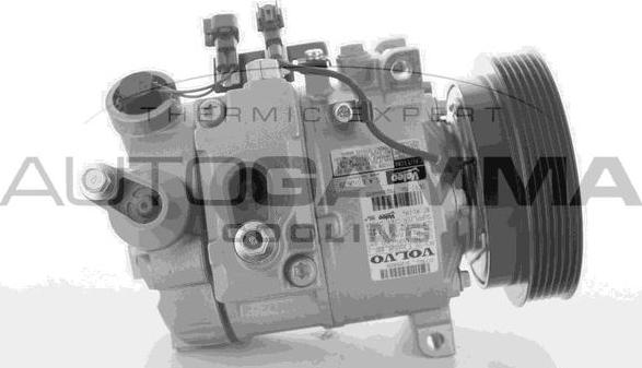 Autogamma 108981 - Compressor, air conditioning autospares.lv