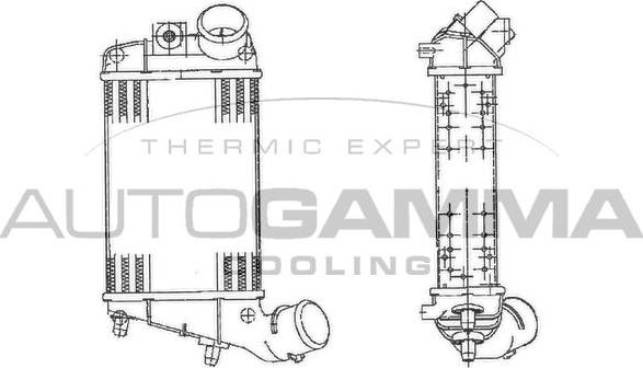 Autogamma 103008 - Intercooler, charger autospares.lv