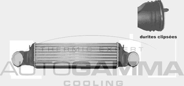 Autogamma 103823 - Intercooler, charger autospares.lv