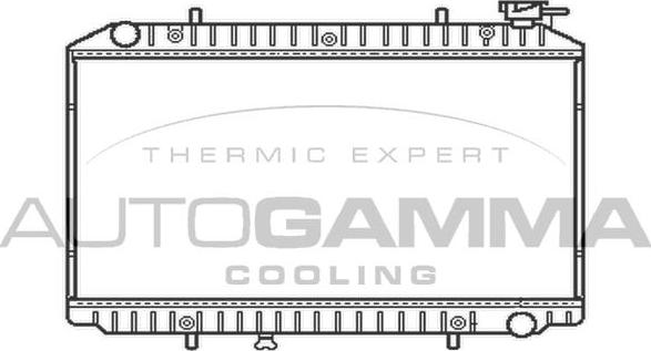 Autogamma 102199 - Radiator, engine cooling autospares.lv