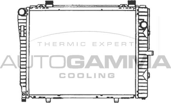 Autogamma 102166 - Radiator, engine cooling autospares.lv