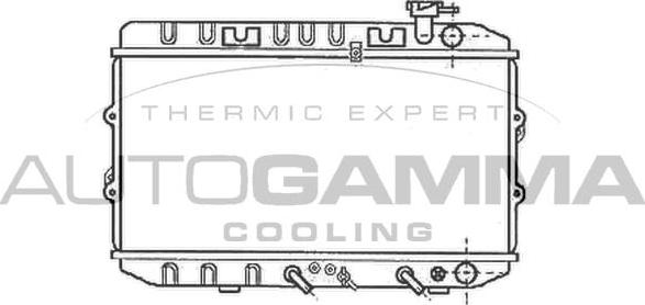 Autogamma 102110 - Radiator, engine cooling autospares.lv