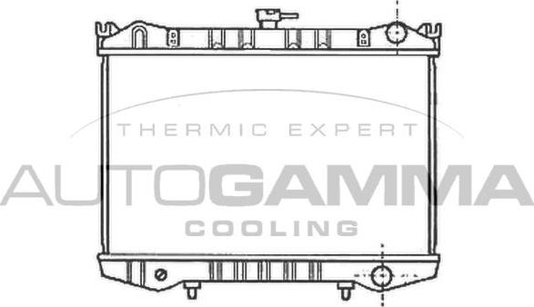 Autogamma 102186 - Radiator, engine cooling autospares.lv