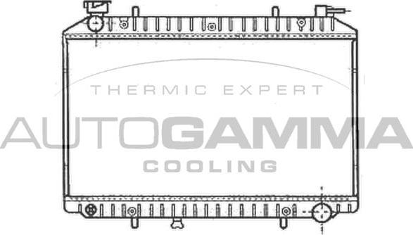 Autogamma 102205 - Radiator, engine cooling autospares.lv