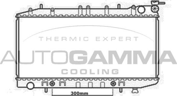 Autogamma 102212 - Radiator, engine cooling autospares.lv