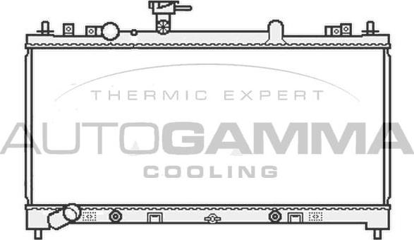 Autogamma 107039 - Radiator, engine cooling autospares.lv