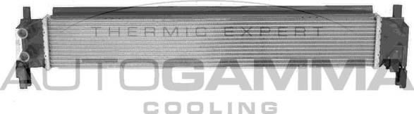 Autogamma 107718 - Radiator, engine cooling autospares.lv