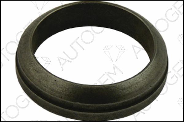 AUTOGEM CEG424 - Seal Ring, exhaust pipe autospares.lv