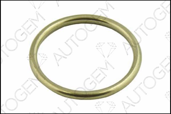 AUTOGEM CEG50 - Seal Ring, exhaust pipe autospares.lv