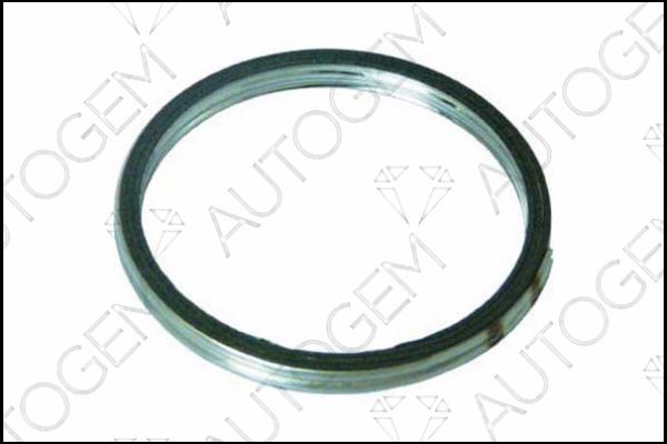 AUTOGEM CEG6404 - Seal Ring, exhaust pipe autospares.lv