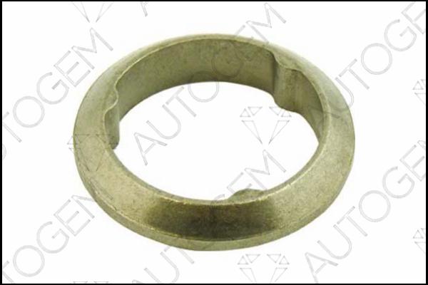 AUTOGEM CEG145 - Seal Ring, exhaust pipe autospares.lv