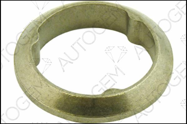 AUTOGEM CEG147 - Seal Ring, exhaust pipe autospares.lv