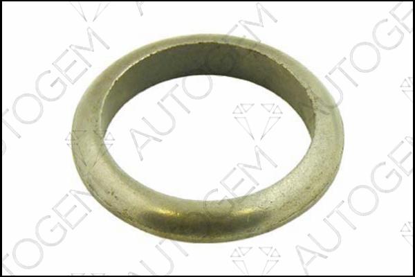 AUTOGEM CEG111 - Seal Ring, exhaust pipe autospares.lv