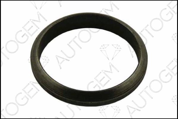 AUTOGEM CEG176 - Seal Ring, exhaust pipe autospares.lv