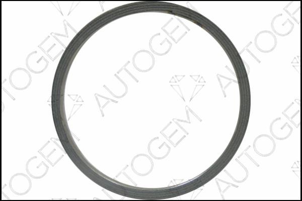 AUTOGEM CEG8813 - Seal Ring, exhaust pipe autospares.lv