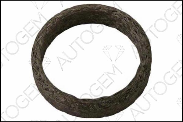 AUTOGEM CEG215 - Seal Ring, exhaust pipe autospares.lv