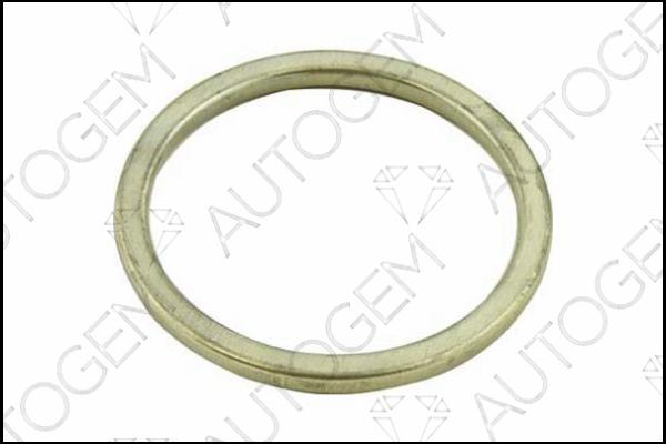 AUTOGEM CEG212 - Seal Ring, exhaust pipe autospares.lv