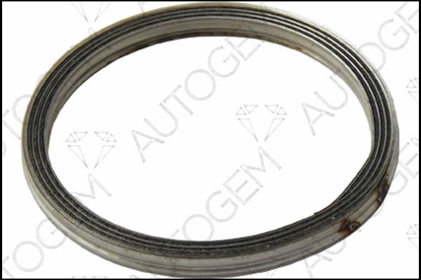 AUTOGEM CEG7506 - Seal Ring, exhaust pipe autospares.lv