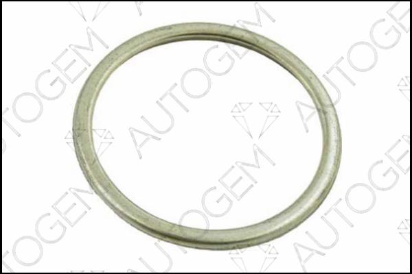 AUTOGEM EG55 - Seal Ring, exhaust pipe autospares.lv