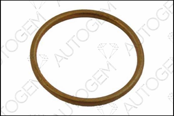 AUTOGEM EG31 - Seal Ring, exhaust pipe autospares.lv